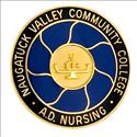 Picture of Naugatuck Valley CC Nursing Pin