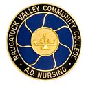 Picture of Naugatuck Valley CC Nursing Pin Gold Plate