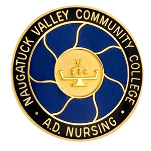 Picture of Naugatuck Valley CC Nursing Pin Gold Plate